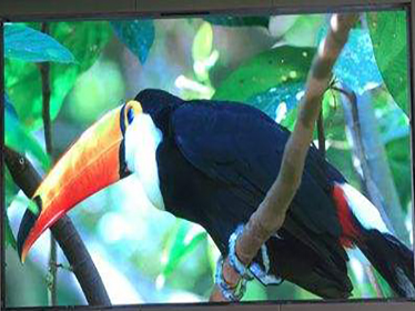 Over kleine pixel LED-display